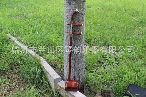 琴行乐器放置位置和价格